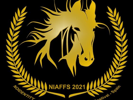 PALMARÉS 8ª EDICIÓN NIAFFS 2021: